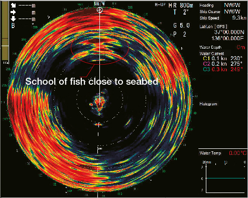 (800 m range) A school of fish close to the seabed can be distinguished clearly.